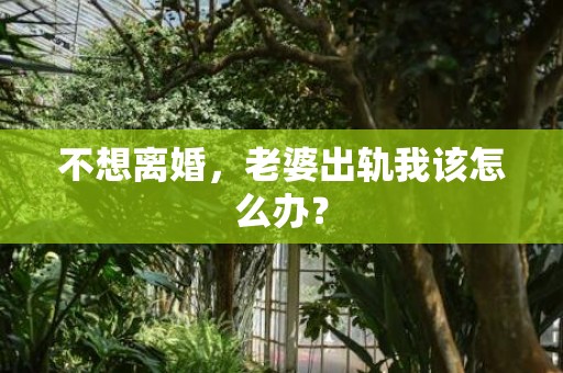 不想离婚，老婆出轨我该怎么办？