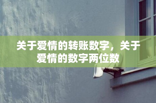 关于爱情的转账数字，关于爱情的数字两位数