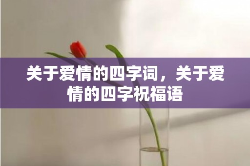 关于爱情的四字词，关于爱情的四字祝福语