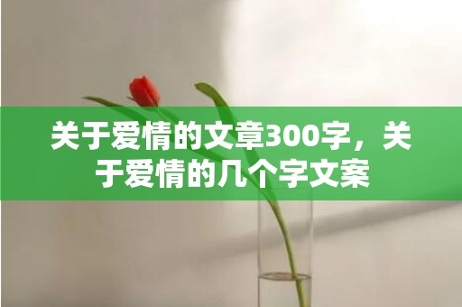 关于爱情的文章300字，关于爱情的几个字文案