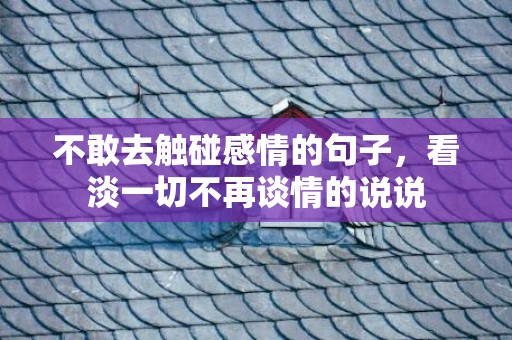 不敢去触碰感情的句子，看淡一切不再谈情的说说
