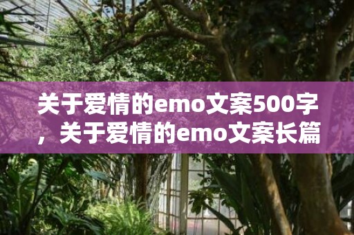 关于爱情的emo文案500字，关于爱情的emo文案长篇