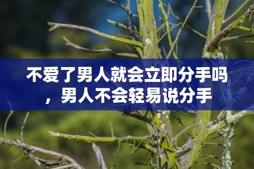 不爱了男人就会立即分手吗，男人不会轻易说分手