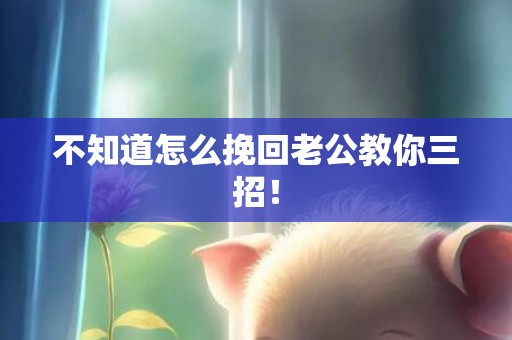 不知道怎么挽回老公教你三招！