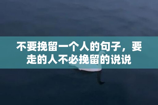 不要挽留一个人的句子，要走的人不必挽留的说说