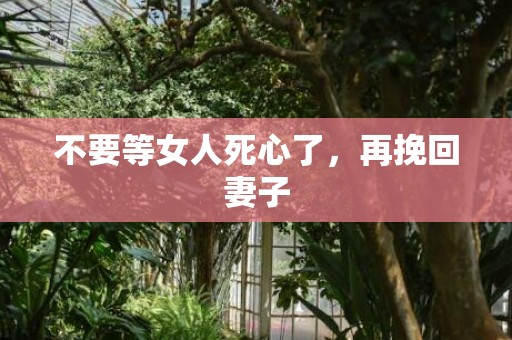 不要等女人死心了，再挽回妻子