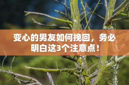 变心的男友如何挽回，务必明白这3个注意点！