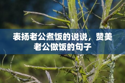 表扬老公煮饭的说说，赞美老公做饭的句子