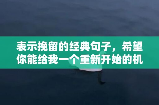 表示挽留的经典句子，希望你能给我一个重新开始的机会