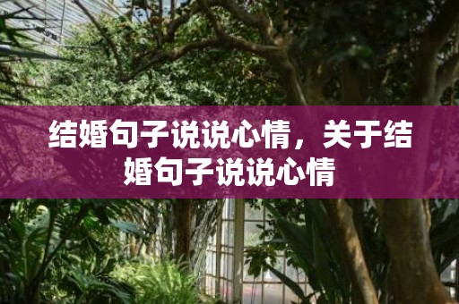 结婚句子说说心情，关于结婚句子说说心情
