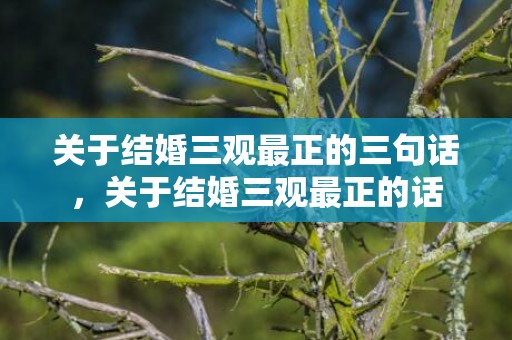 关于结婚三观最正的三句话，关于结婚三观最正的话