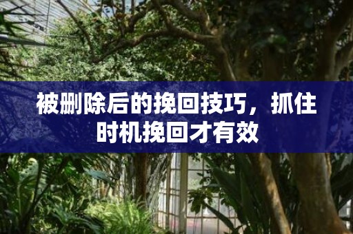 被删除后的挽回技巧，抓住时机挽回才有效