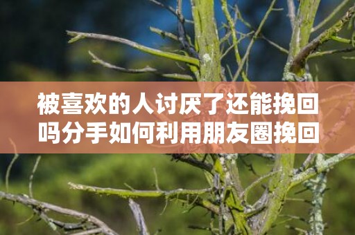 被喜欢的人讨厌了还能挽回吗分手如何利用朋友圈挽回