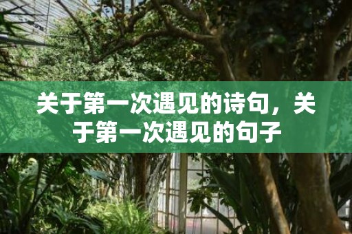 关于第一次遇见的诗句，关于第一次遇见的句子