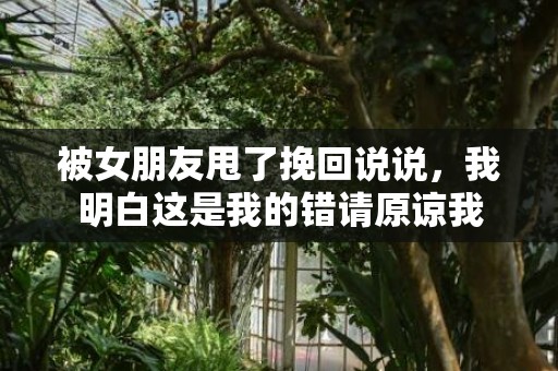 被女朋友甩了挽回说说，我明白这是我的错请原谅我