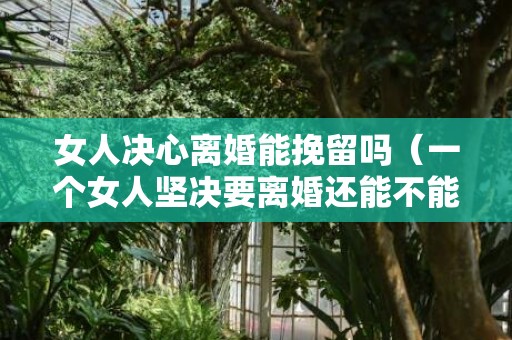 女人决心离婚能挽留吗（一个女人坚决要离婚还能不能挽回）