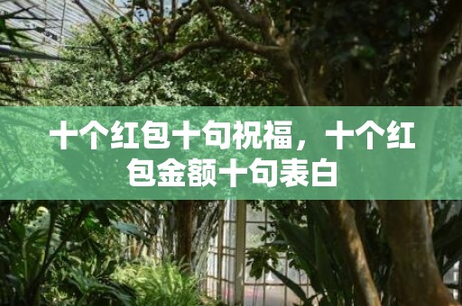 十个红包十句祝福，十个红包金额十句表白