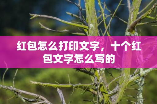 红包怎么打印文字，十个红包文字怎么写的
