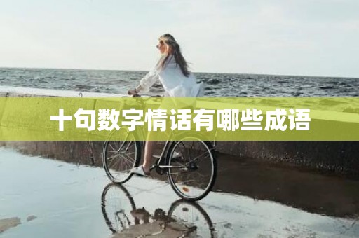 十句数字情话有哪些成语
