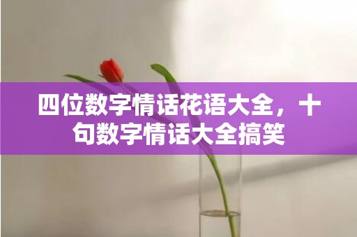 四位数字情话花语大全，十句数字情话大全搞笑