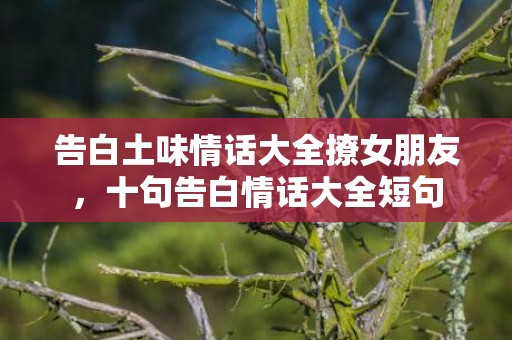 告白土味情话大全撩女朋友，十句告白情话大全短句