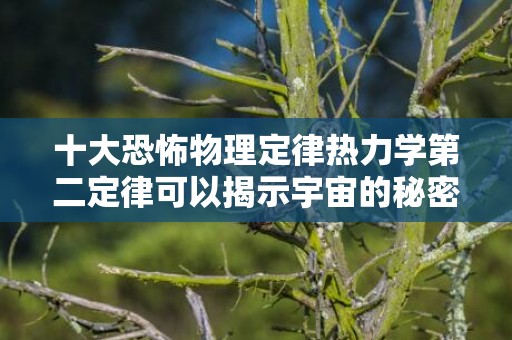 十大恐怖物理定律热力学第二定律可以揭示宇宙的秘密，十大恐怖物理定律公式