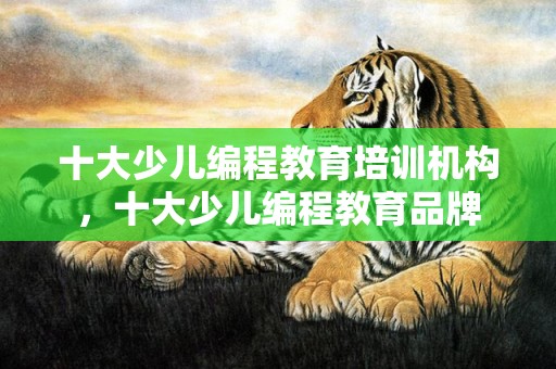十大少儿编程教育培训机构，十大少儿编程教育品牌
