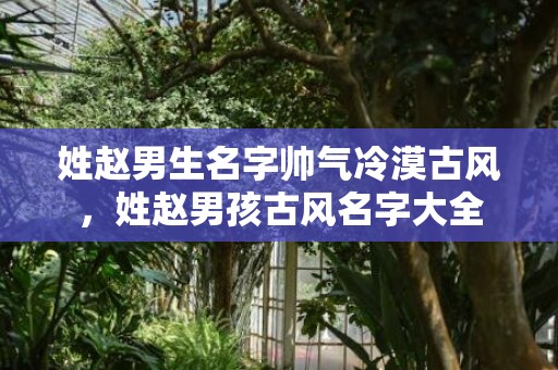 姓赵男生名字帅气冷漠古风，姓赵男孩古风名字大全