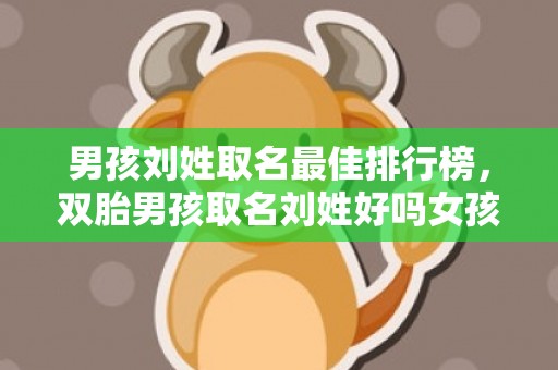 男孩刘姓取名最佳排行榜，双胎男孩取名刘姓好吗女孩