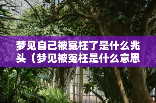 梦见自己被冤枉了是什么兆头（梦见被冤枉是什么意思梦见自己被冤枉是什么意思）