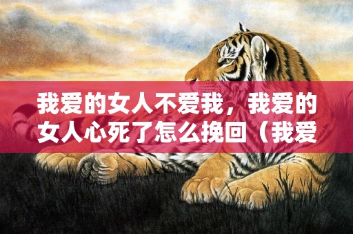 我爱的女人不爱我，我爱的女人心死了怎么挽回（我爱的女人不爱我了怎么办）