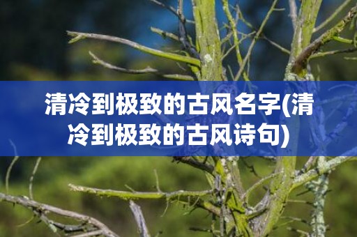 清冷到极致的古风名字(清冷到极致的古风诗句)