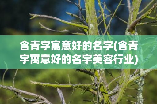 含青字寓意好的名字(含青字寓意好的名字美容行业)