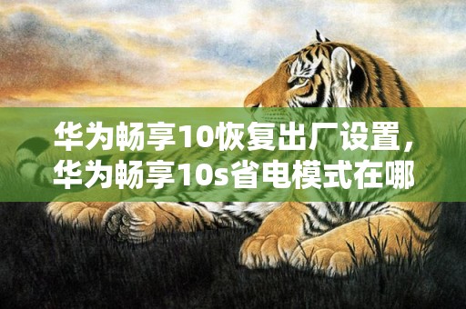 华为畅享10恢复出厂设置，华为畅享10s省电模式在哪