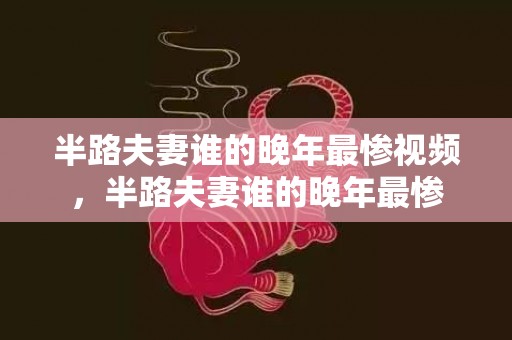 半路夫妻谁的晚年最惨视频，半路夫妻谁的晚年最惨
