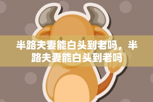 半路夫妻能白头到老吗，半路夫妻能白头到老吗