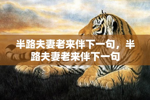 半路夫妻老来伴下一句，半路夫妻老来伴下一句