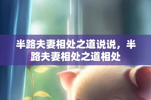 半路夫妻相处之道说说，半路夫妻相处之道相处