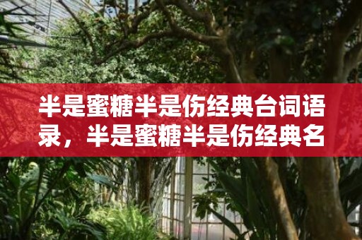 半是蜜糖半是伤经典台词语录，半是蜜糖半是伤经典名句