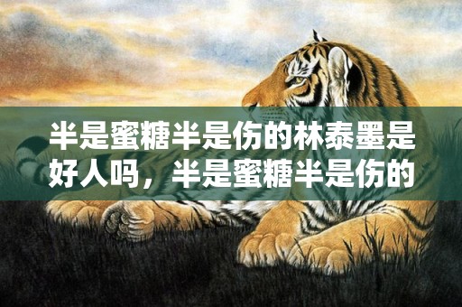 半是蜜糖半是伤的林泰墨是好人吗，半是蜜糖半是伤的片段
