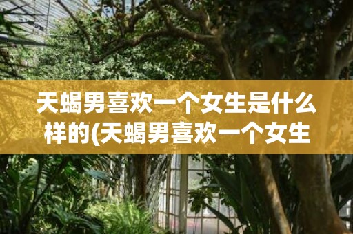 天蝎男喜欢一个女生是什么样的(天蝎男喜欢一个女生会想睡她吗)