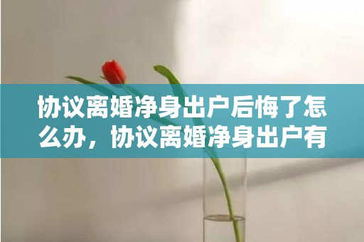 协议离婚净身出户后悔了怎么办，协议离婚净身出户有效吗