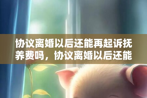 协议离婚以后还能再起诉抚养费吗，协议离婚以后还能起诉吗