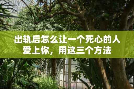 出轨后怎么让一个死心的人爱上你，用这三个方法