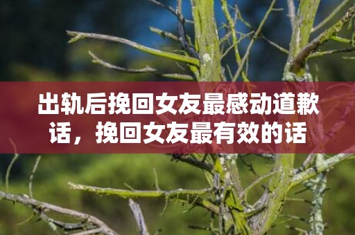 出轨后挽回女友最感动道歉话，挽回女友最有效的话