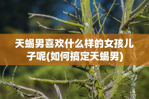 天蝎男喜欢什么样的女孩儿子呢(如何搞定天蝎男)
