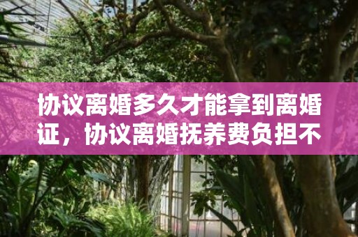 协议离婚多久才能拿到离婚证，协议离婚抚养费负担不起