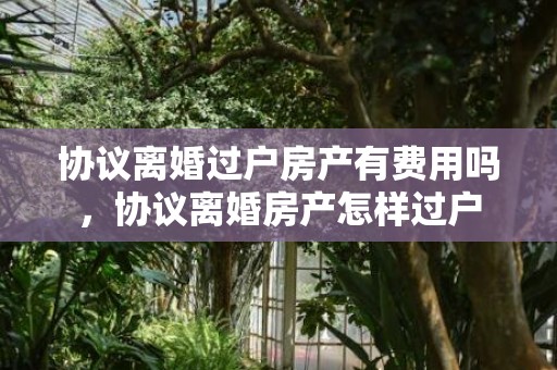 协议离婚过户房产有费用吗，协议离婚房产怎样过户