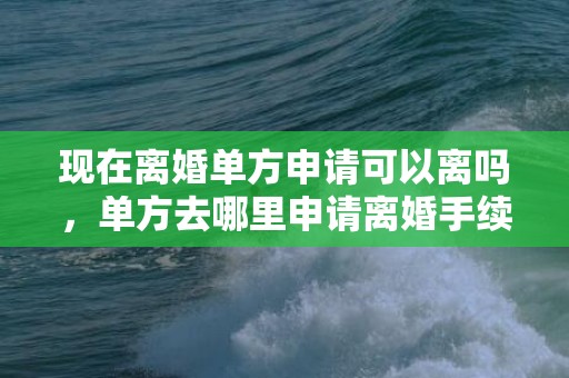 现在离婚单方申请可以离吗，单方去哪里申请离婚手续
