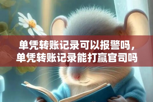 单凭转账记录可以报警吗，单凭转账记录能打赢官司吗